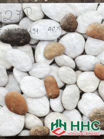 gạch 40x40 sân vườn